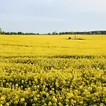 C14 Suedbalkon Mit Blick Ins Gruene & Nutzung Der Wellness- & Aktivbereiche Im 