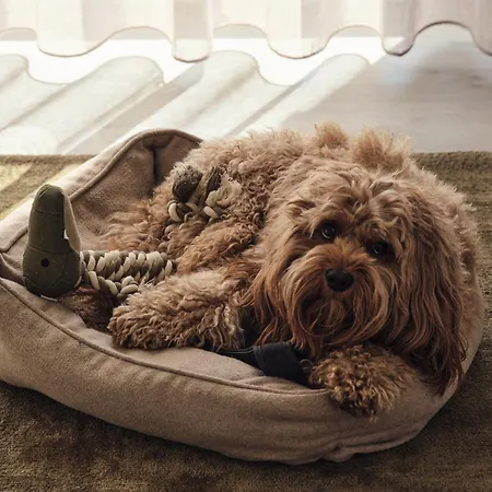 Apartamento C14 Südbalkon Mit Blick Ins Grüne&nutzung Der Wellness-&aktivbereiche Im Pine Hill Zirchow