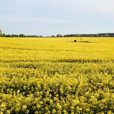 C14 Südbalkon Mit Blick Ins Grüne&nutzung Der Wellness-&aktivbereiche Im Pine Hill Zirchow