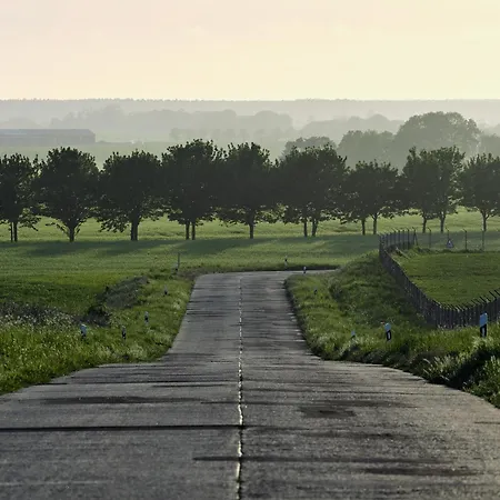 C14 Südbalkon Mit Blick Ins Grüne&nutzung Der Wellness-&aktivbereiche Im Pine Hill Zirchow