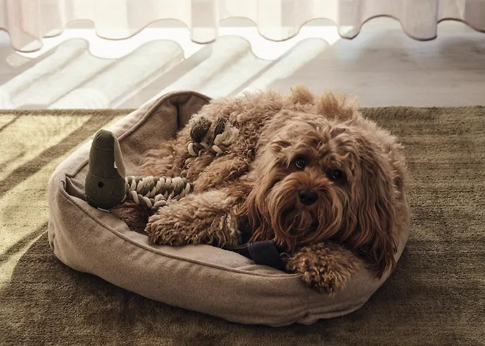 Apartmán C14 Suedbalkon Mit Blick Ins Gruene & Nutzung Der Wellness- & Aktivbereiche Im 