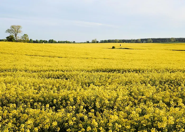 C14 Suedbalkon Mit Blick Ins Gruene & Nutzung Der Wellness- & Aktivbereiche Im 
